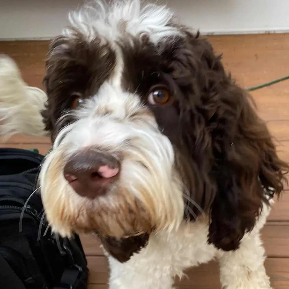 mattparrish.bsky.social's profile picture