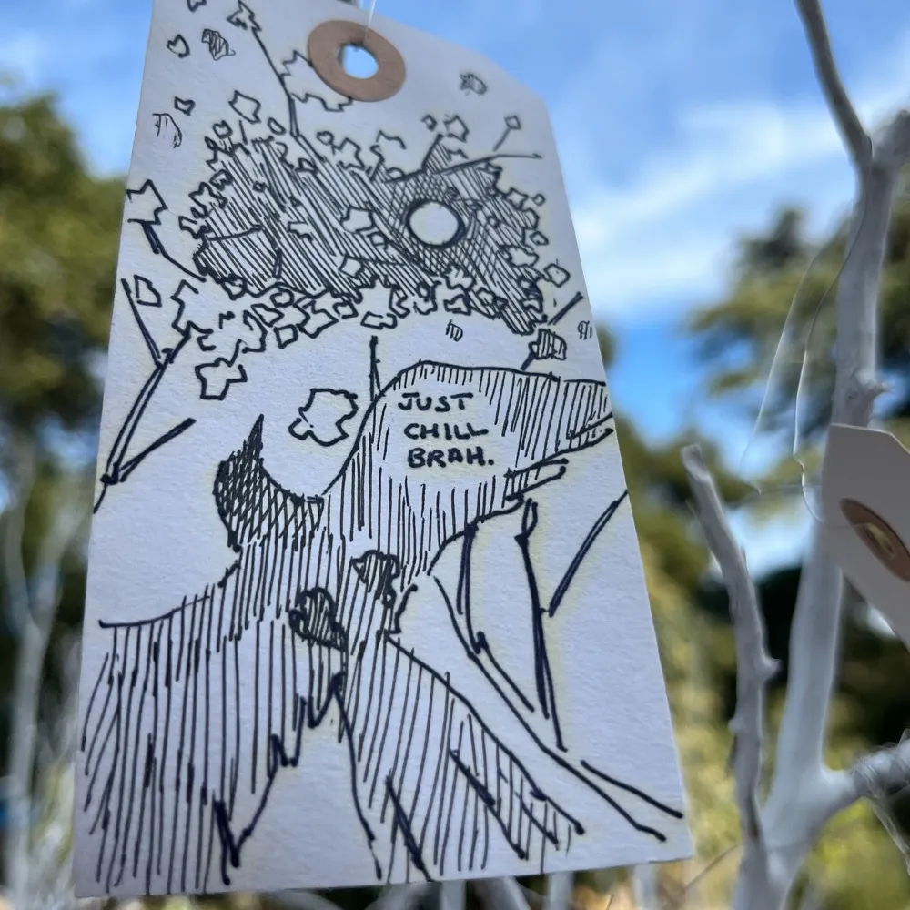 noquetzal.bsky.social's profile picture