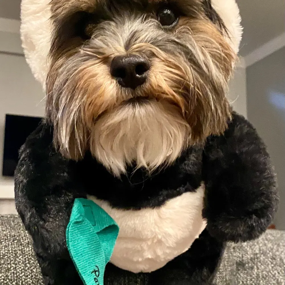 bribleck.bsky.social's profile picture