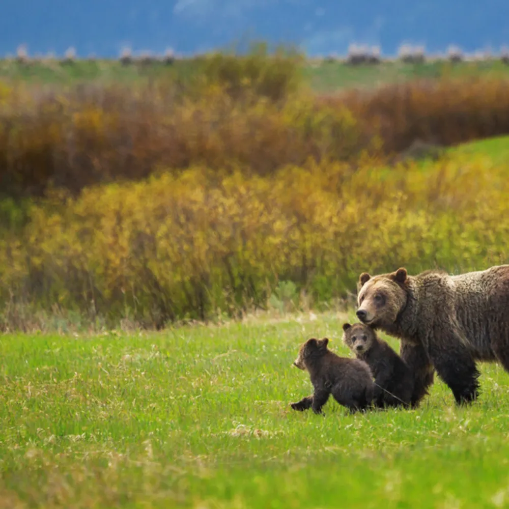 2bbrs.bsky.social's profile picture