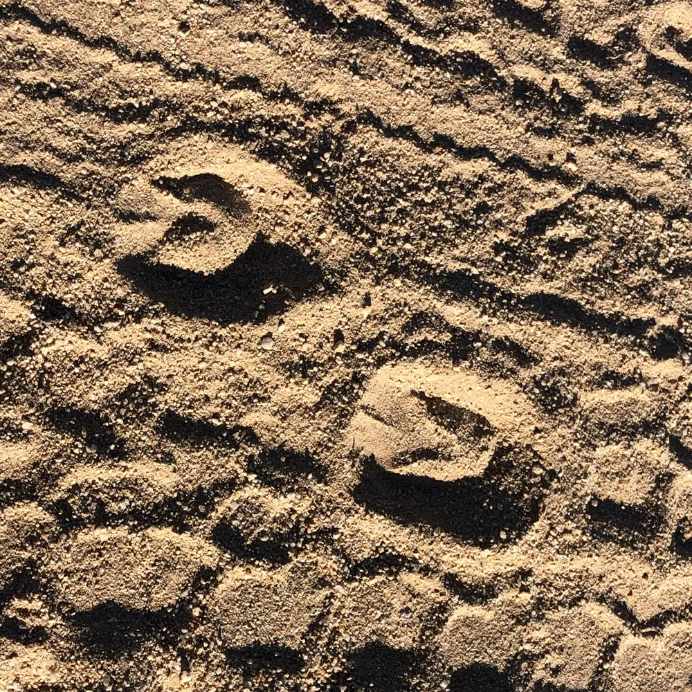 lvista.bsky.social's profile picture