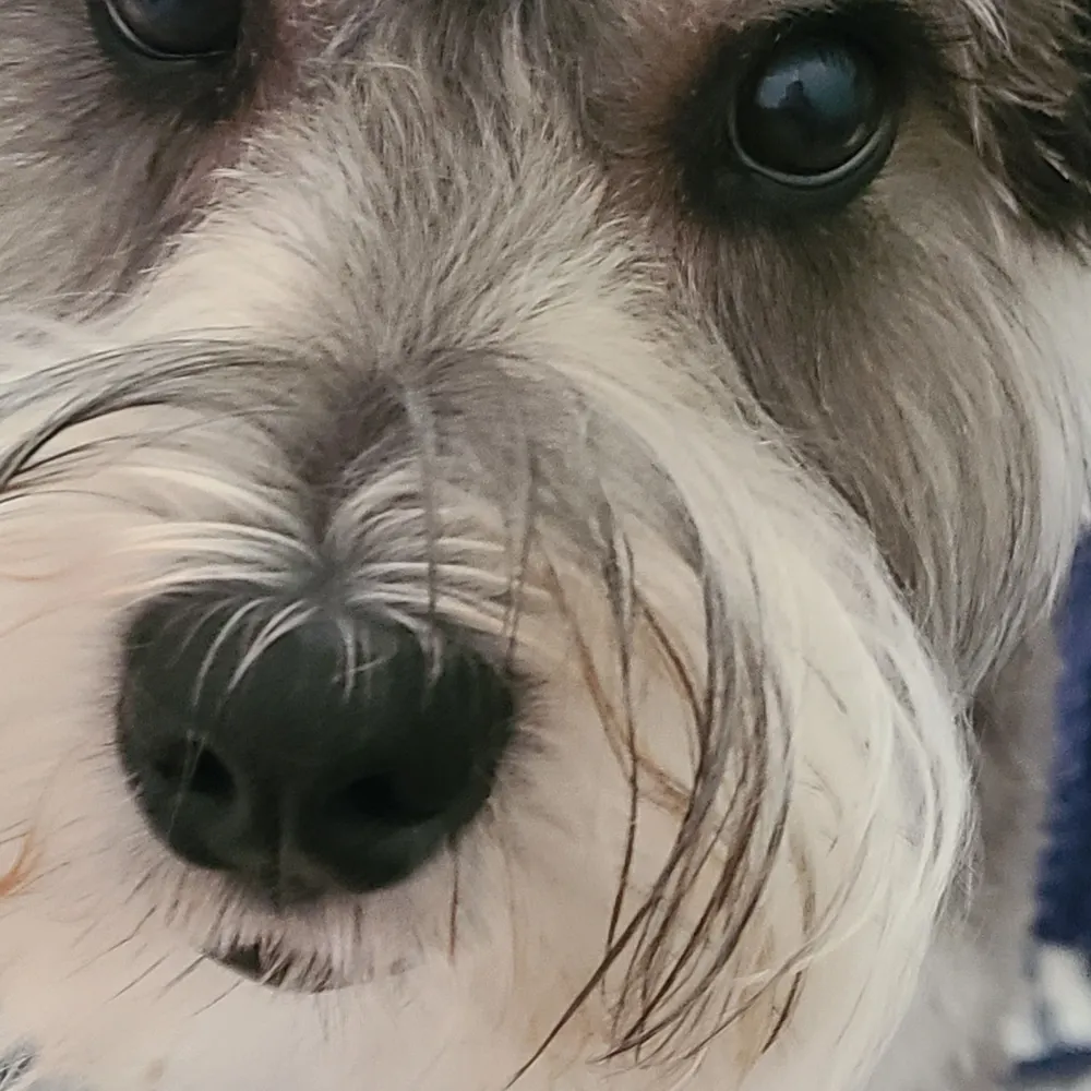 k19c.bsky.social's profile picture