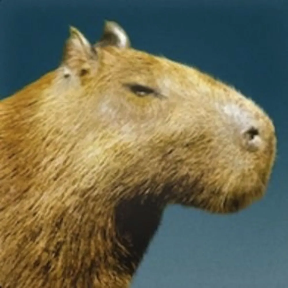 uzralf.bsky.social's profile picture