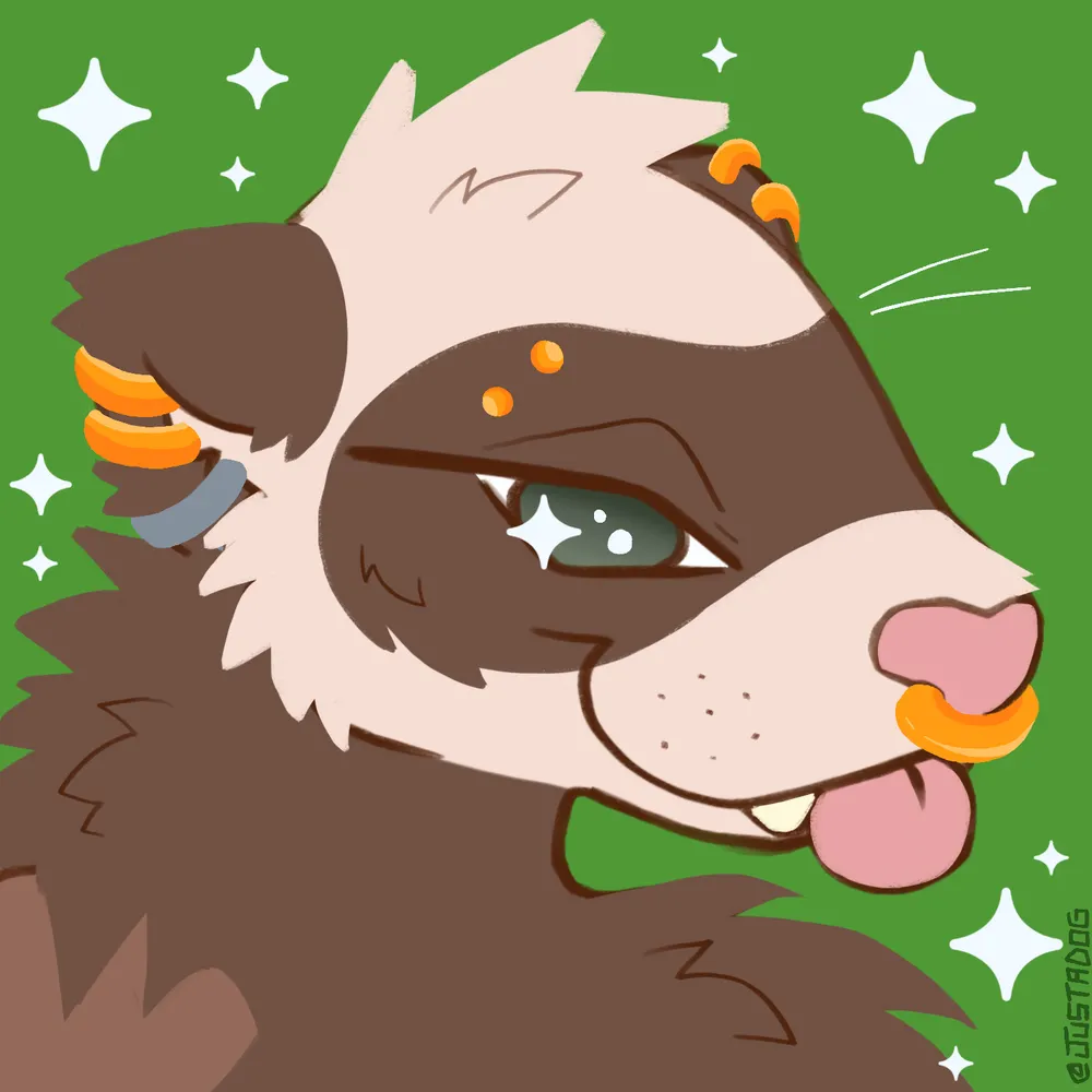 rokapop.bsky.social's profile picture