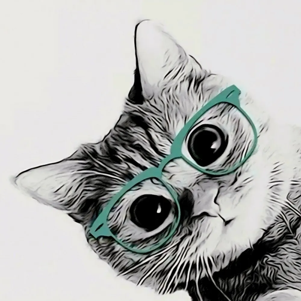 elusivejay.bsky.social's profile picture