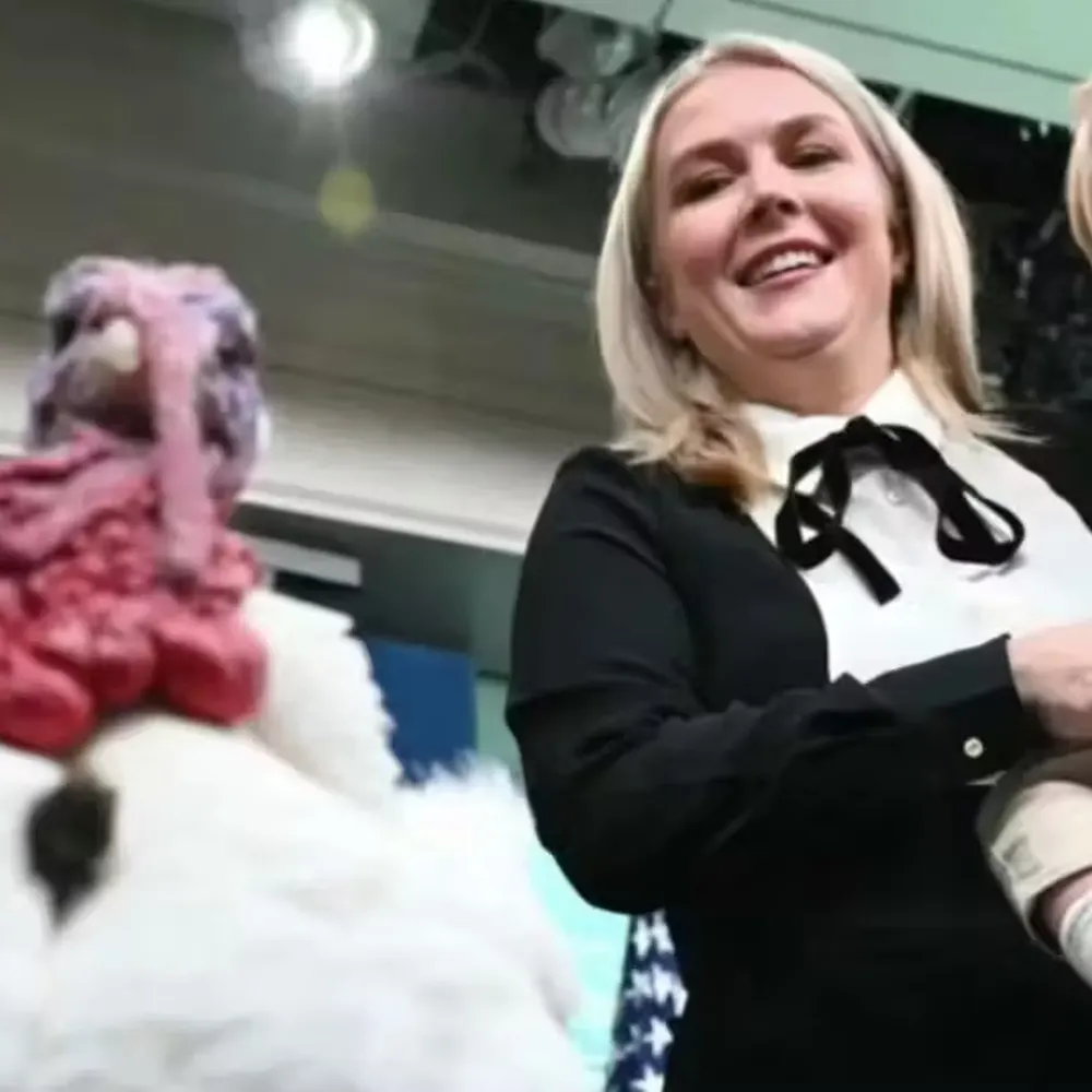 michi-gander.bsky.social's profile picture