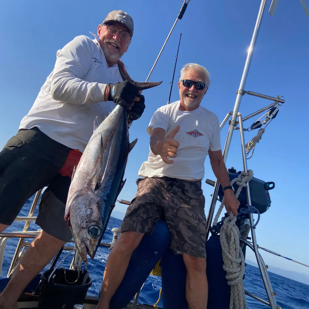 waboson.bsky.social's profile picture