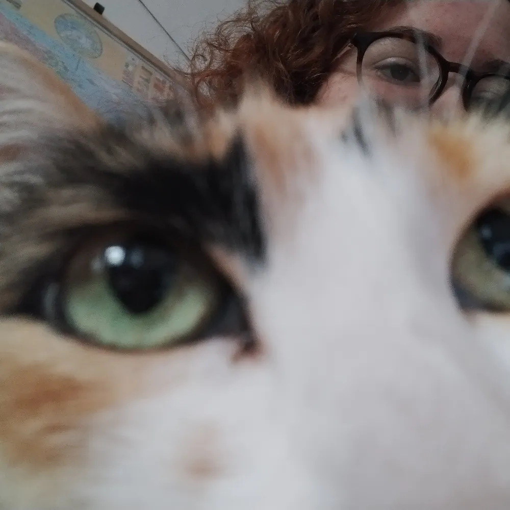 bobinha.bsky.social's profile picture