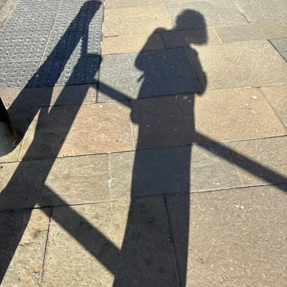 thatelizabeth.bsky.social's profile picture