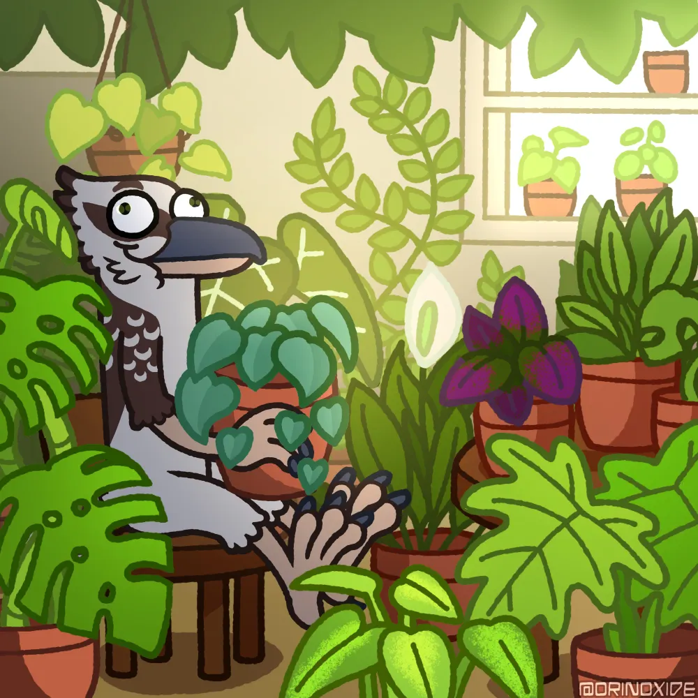 fiascoandco.bsky.social's profile picture