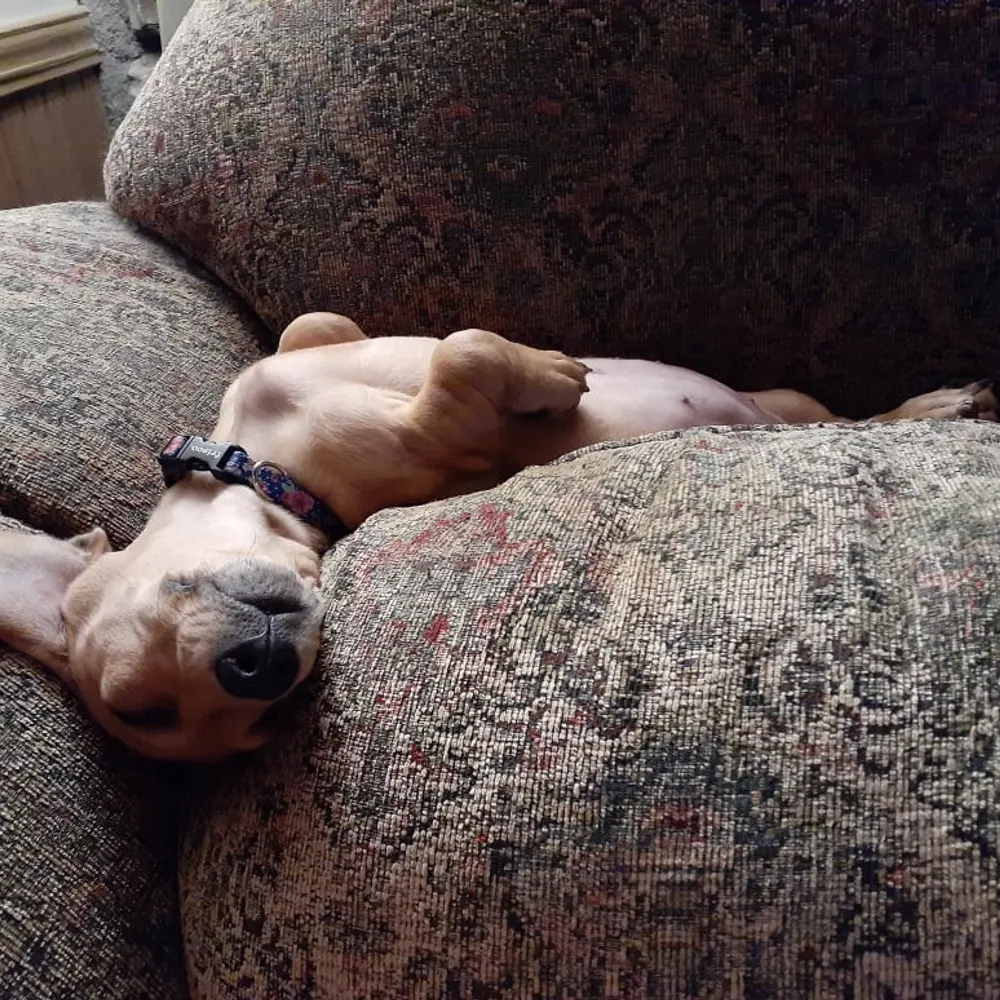 thepissedoldlady.bsky.social's profile picture