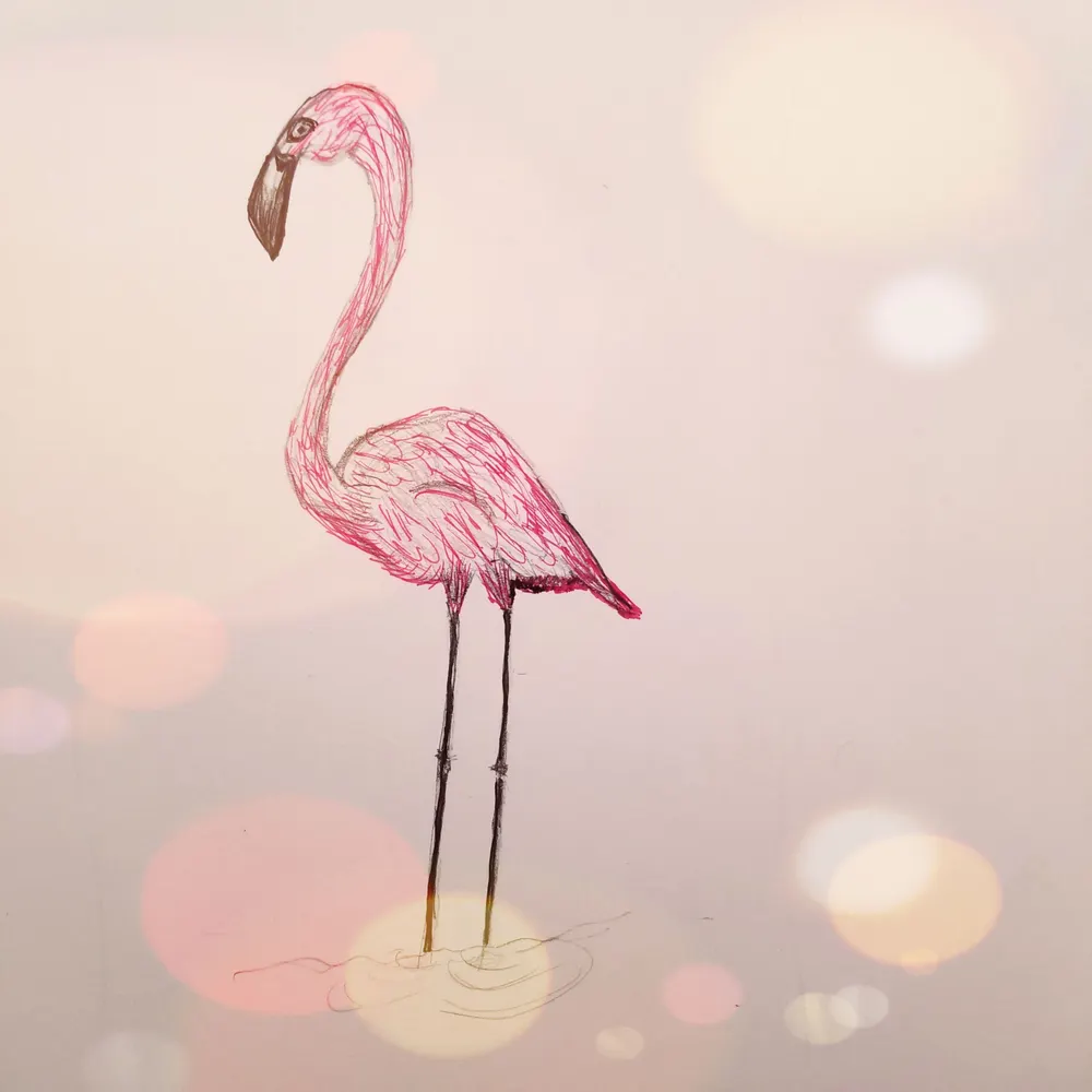 missplaced.bsky.social's profile picture