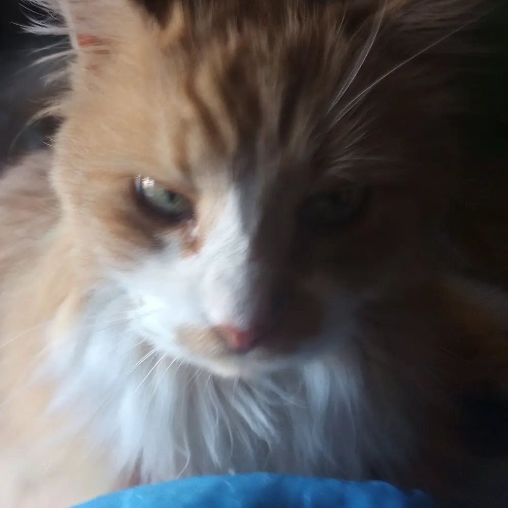 itsnotbread.bsky.social's profile picture