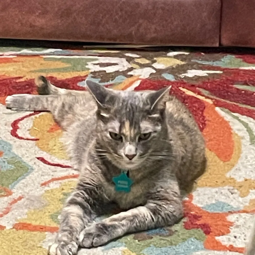 quotyquoty.bsky.social's profile picture