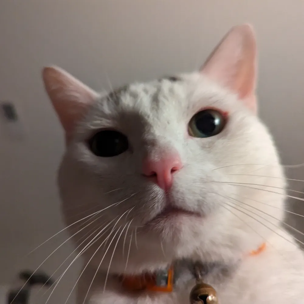 imoutofit.bsky.social's profile picture