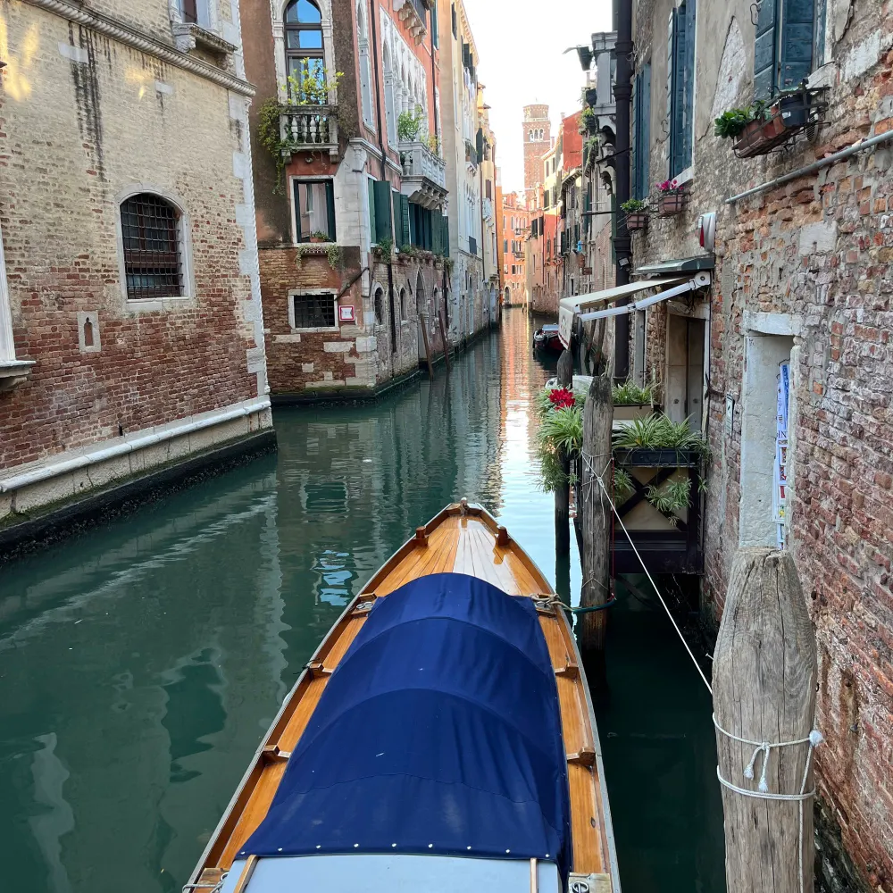 catch23.bsky.social's profile picture