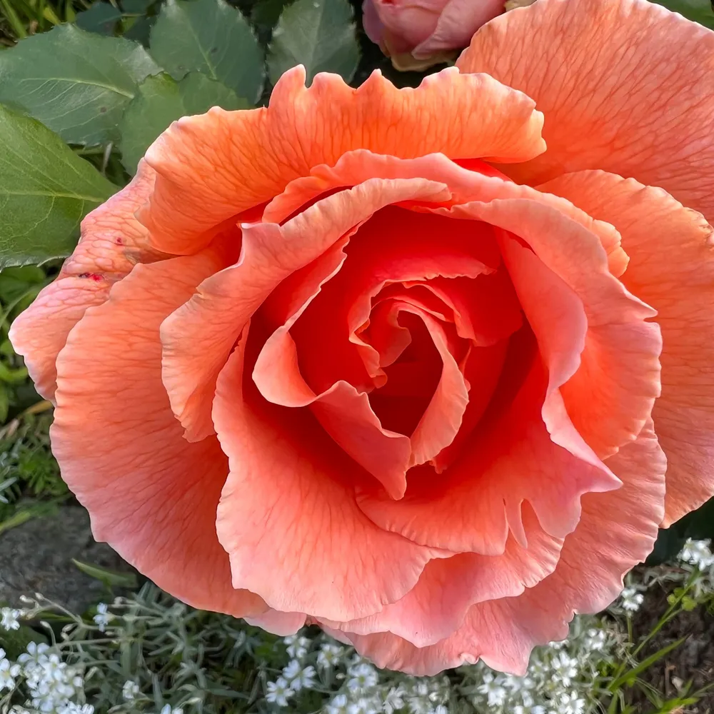 skyhawks.bsky.social's profile picture