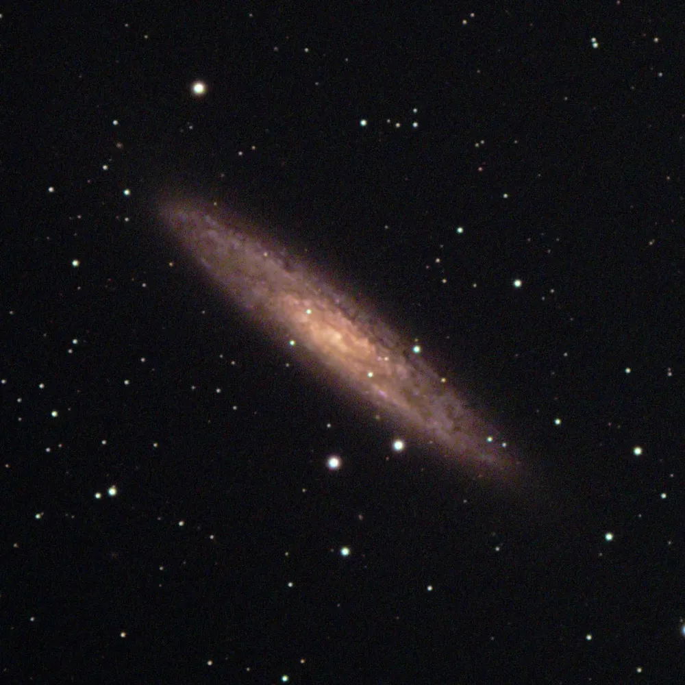 tastromo.bsky.social's profile picture