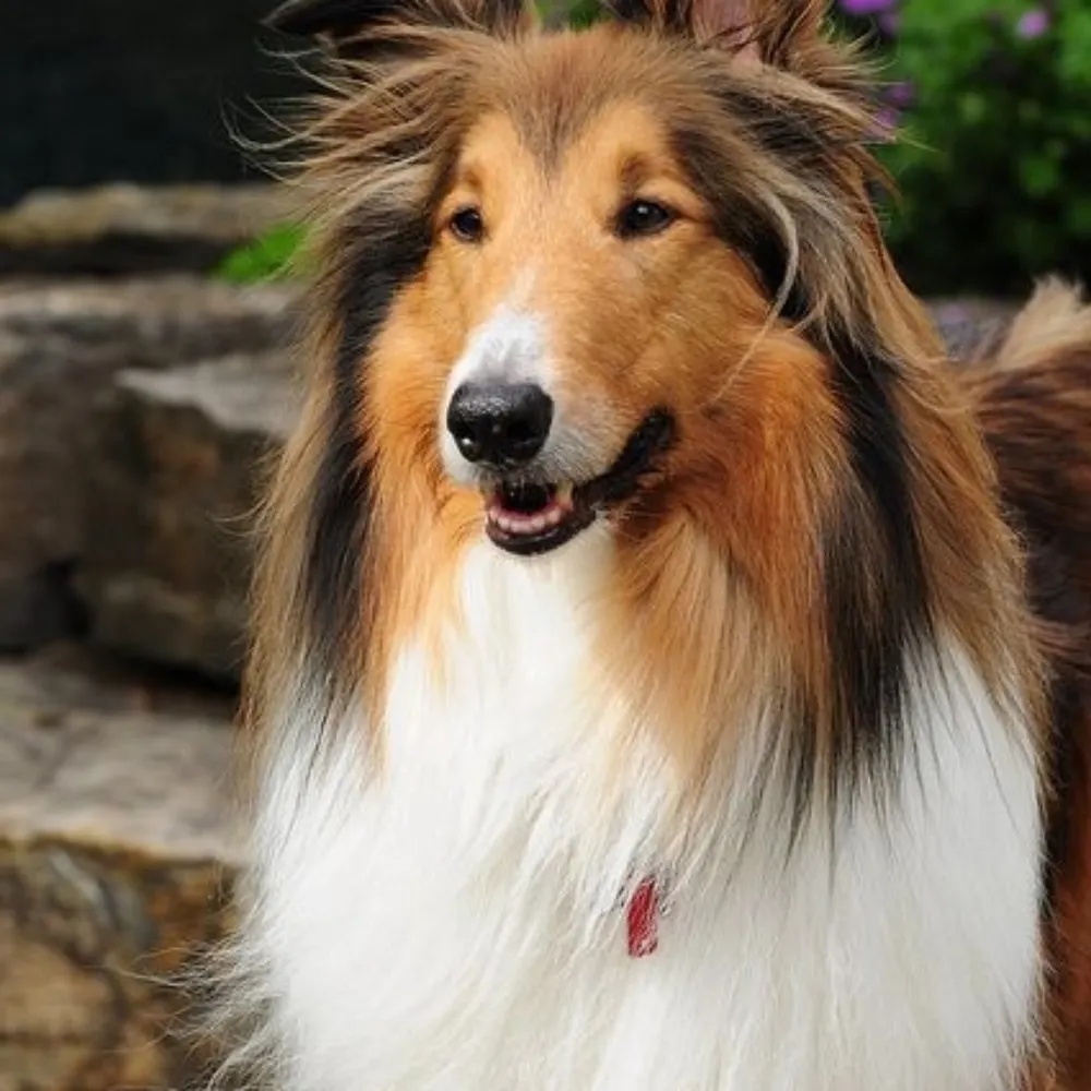 m4a1960.bsky.social's profile picture