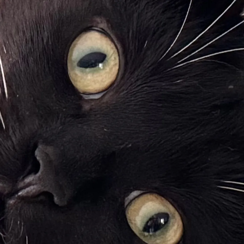 jeffm2018.bsky.social's profile picture