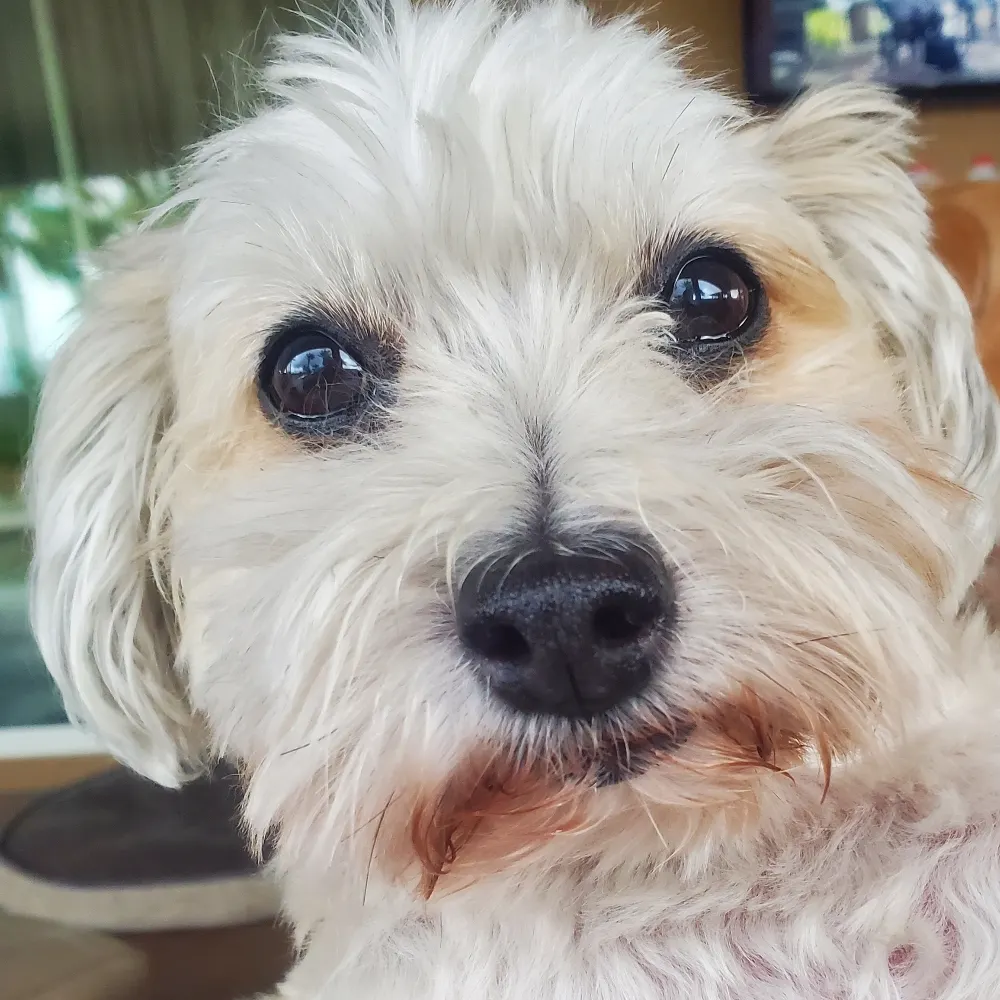 my2bits4u.bsky.social's profile picture