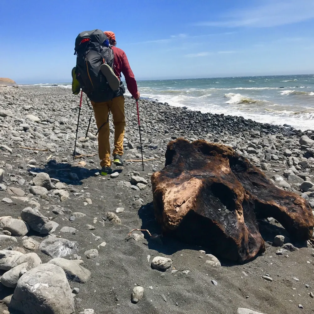 spideymac.bsky.social's profile picture