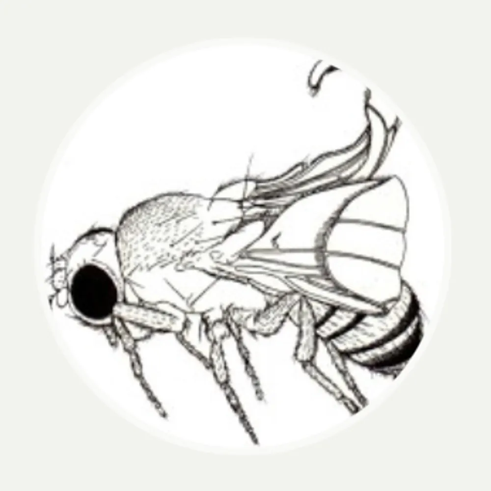 flypusher713.bsky.social's profile picture