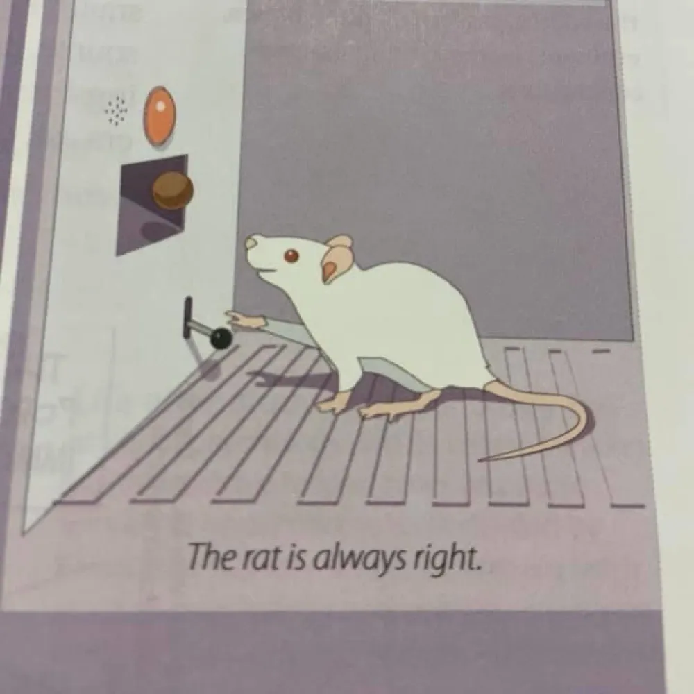 dingomutt.bsky.social's profile picture