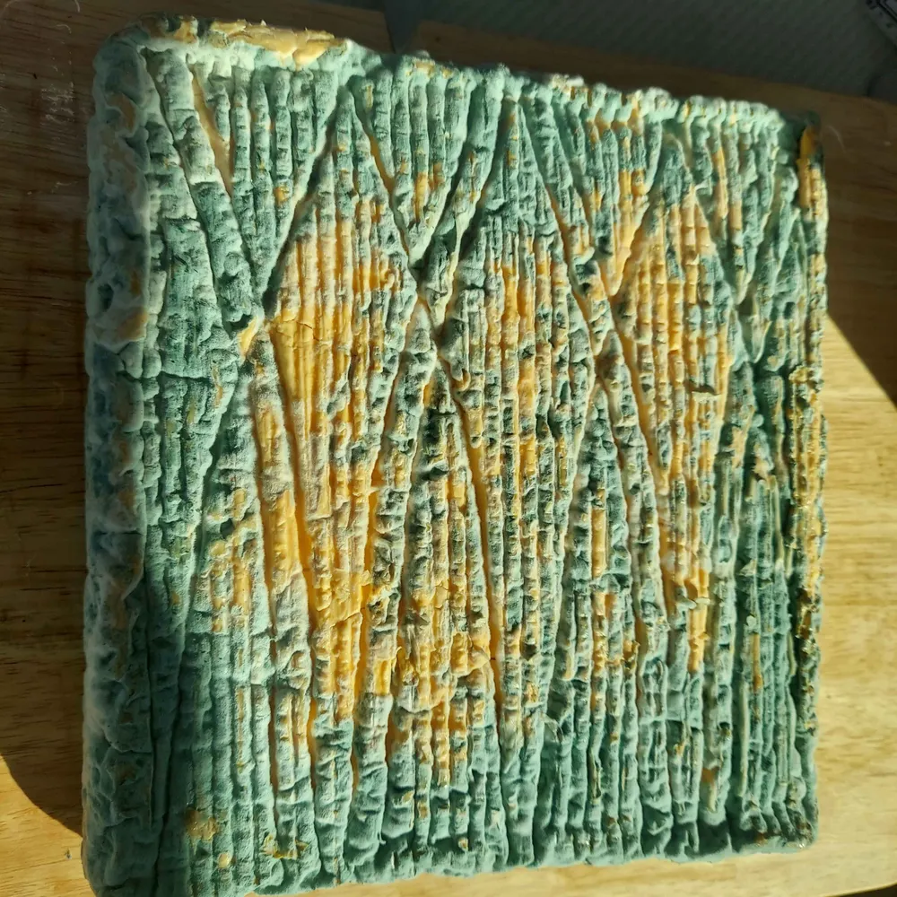 sausalitocheese.bsky.social's profile picture