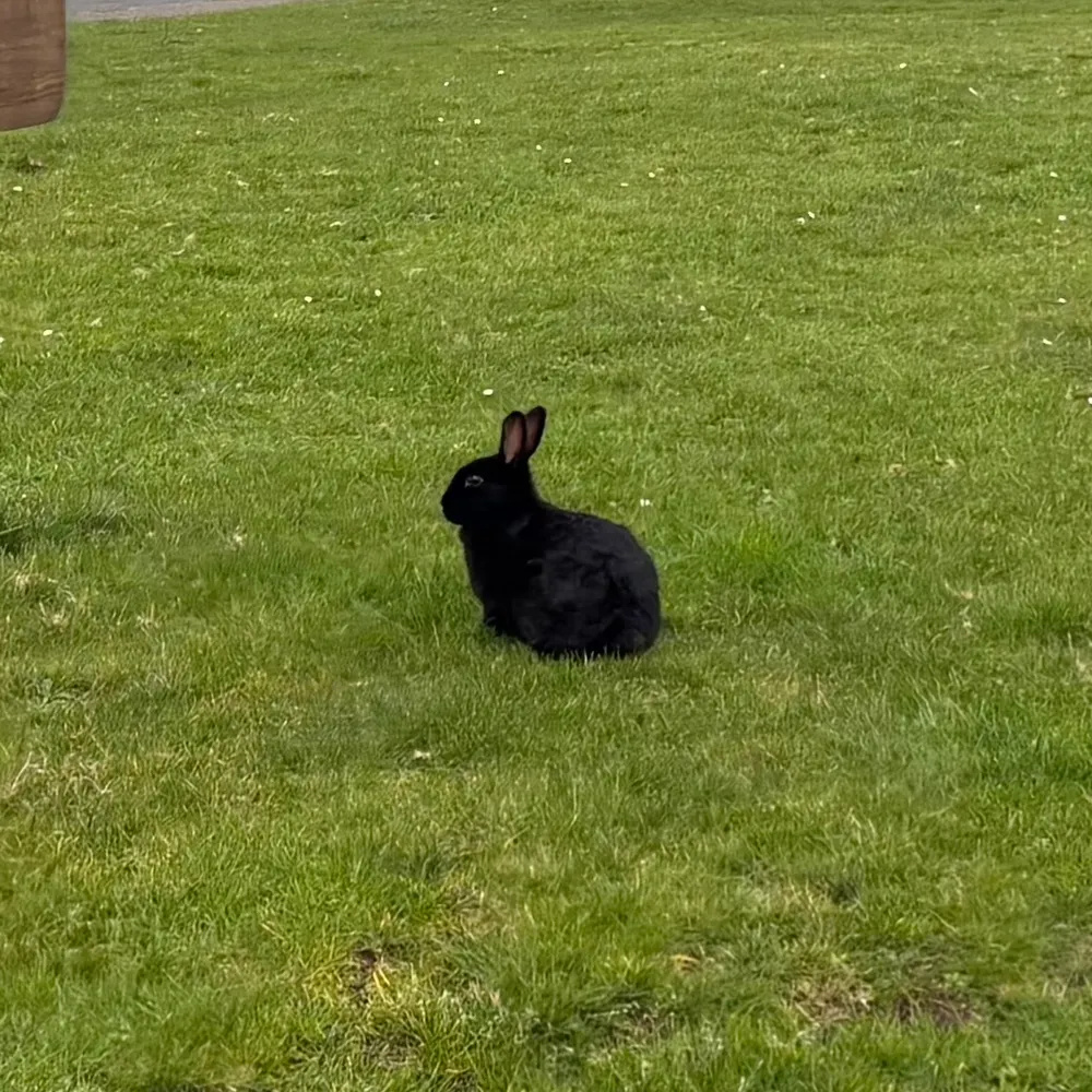 rebcoco.bsky.social's profile picture