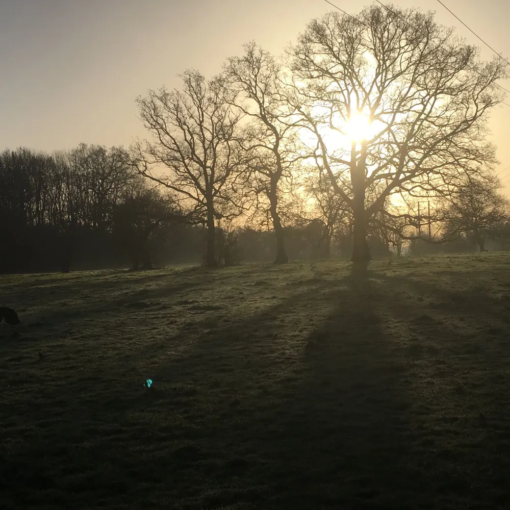 hereandnow2017.bsky.social's profile picture