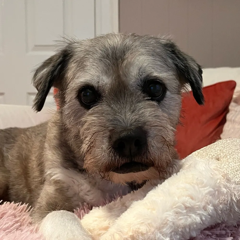 thinkltoez.bsky.social's profile picture