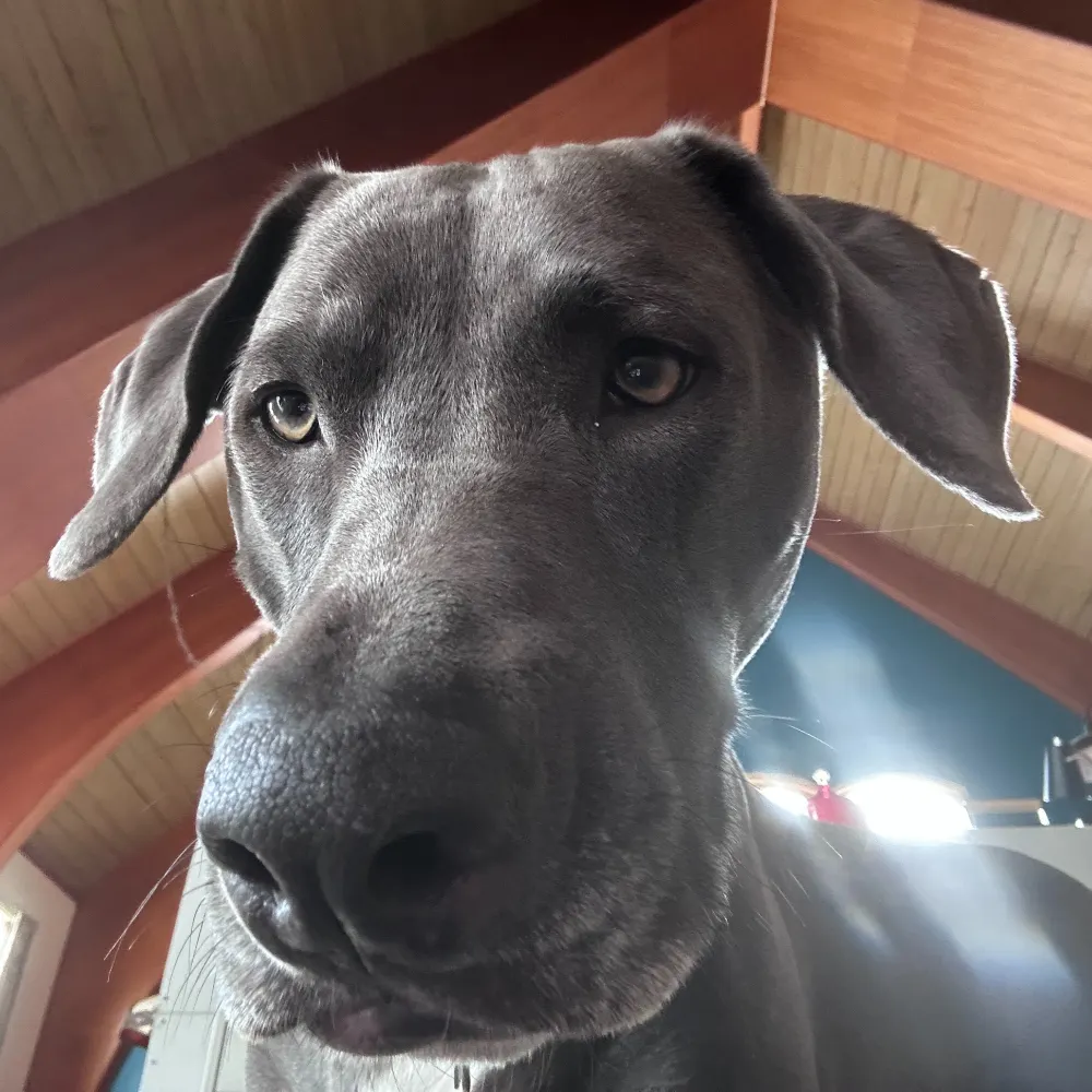 greenmtnmack.bsky.social's profile picture