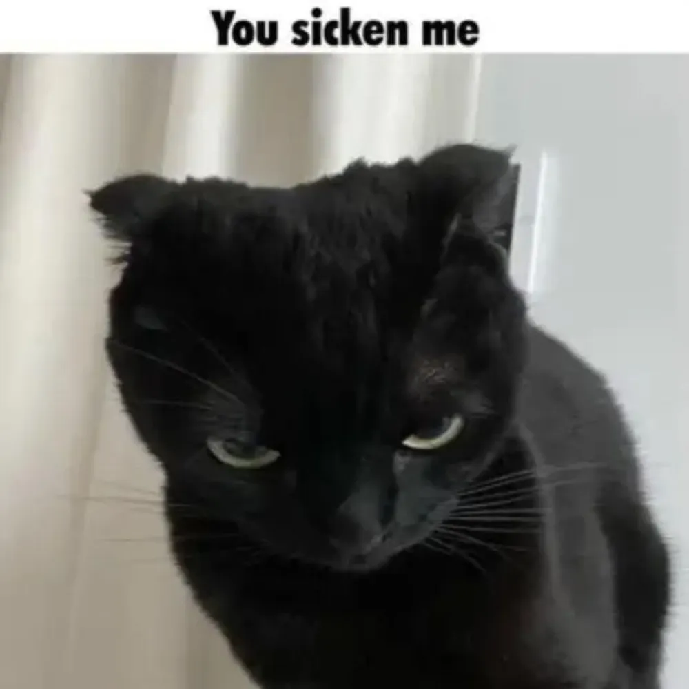 lordmem3z.bsky.social's profile picture