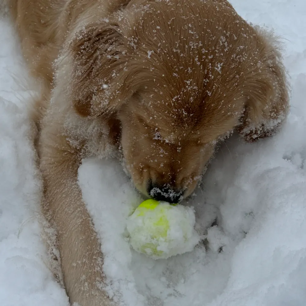 2005kidnow.bsky.social's profile picture