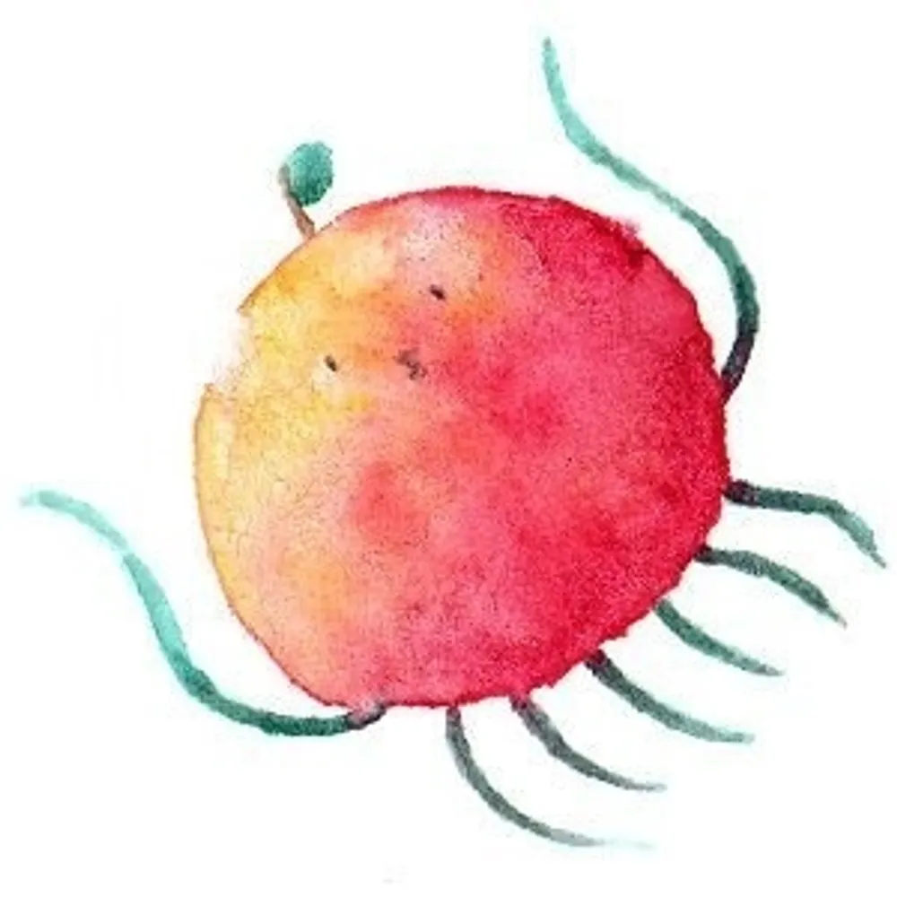 k-awoino.bsky.social's profile picture