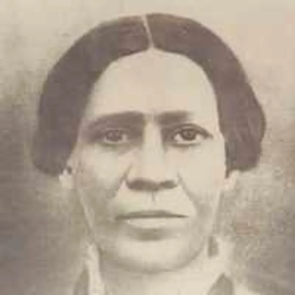 elluzintodasnegro.bsky.social's profile picture