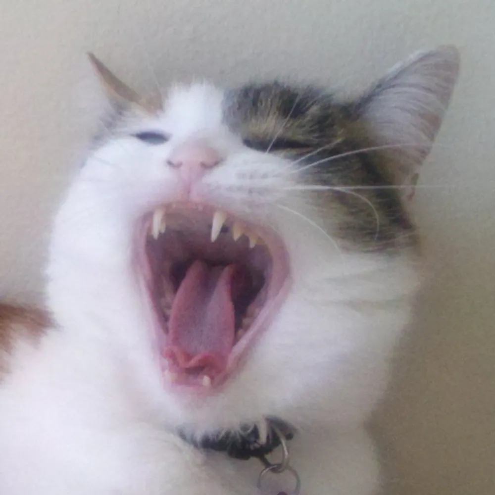 kbenjaminstone.bsky.social's profile picture