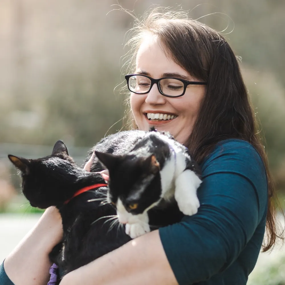 0xdaeda1a.bsky.social's profile picture