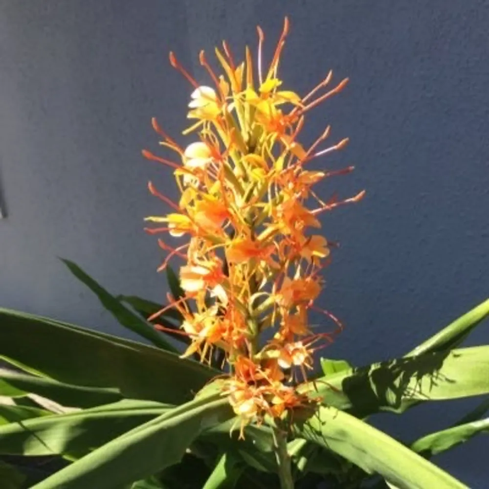 sharonrmecfs.bsky.social's profile picture