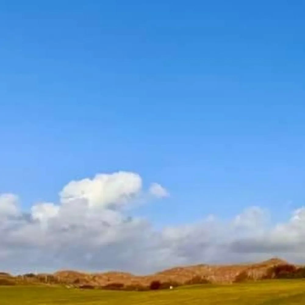 acitizen.bsky.social's profile picture