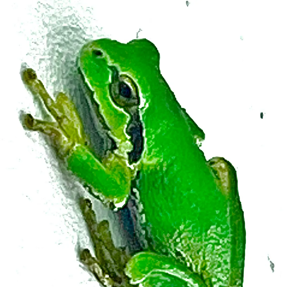 helisister.bsky.social's profile picture