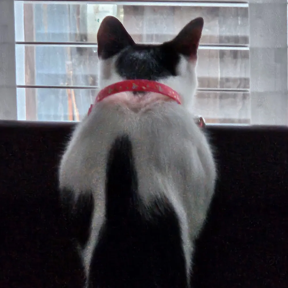 natalieam.bsky.social's profile picture