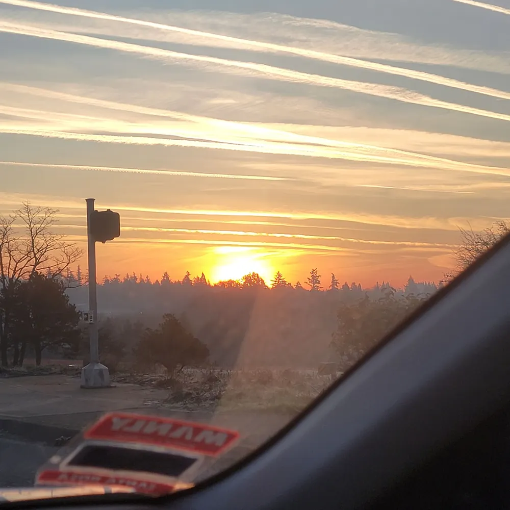 winegr1111.bsky.social's profile picture