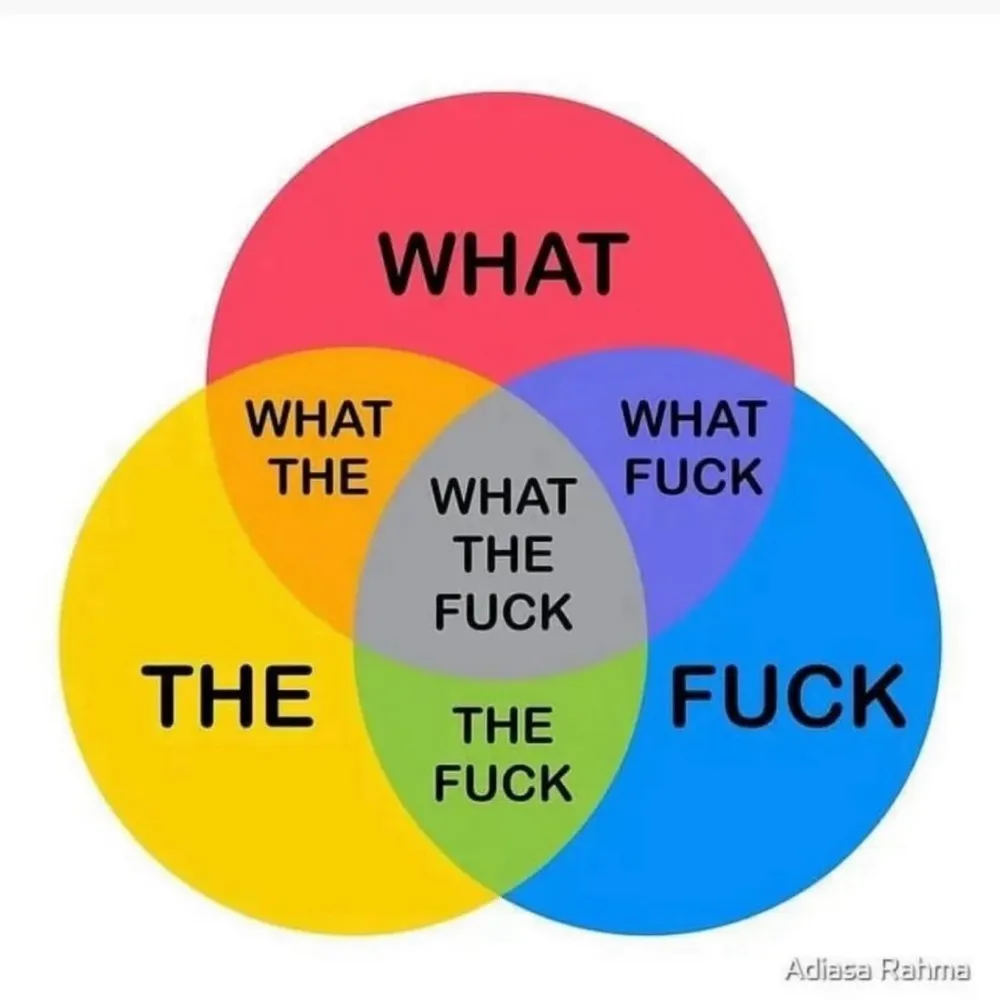 lilliandcats.bsky.social's profile picture