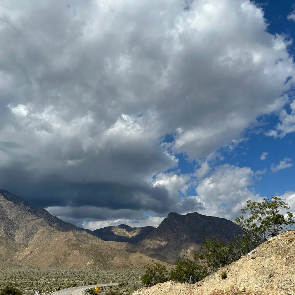 bluerabbit777.bsky.social's profile picture