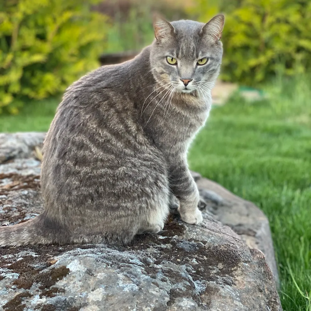 rustyvonnail.bsky.social's profile picture