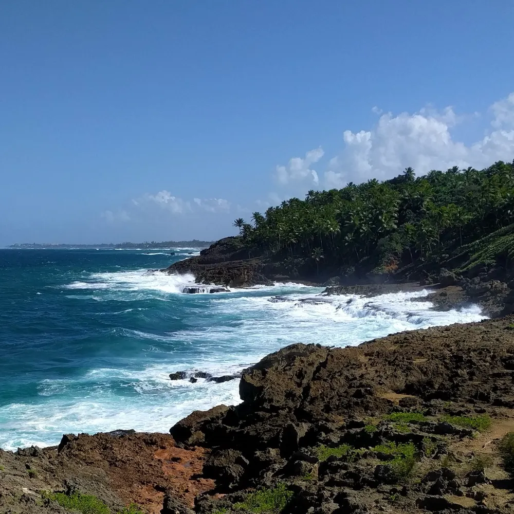 jilliank.bsky.social's profile picture