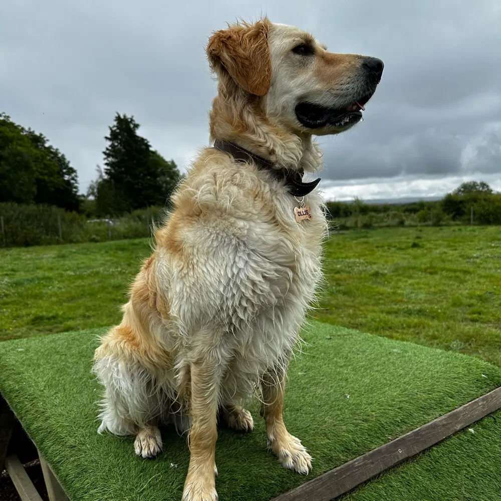 joepublic99.bsky.social's profile picture