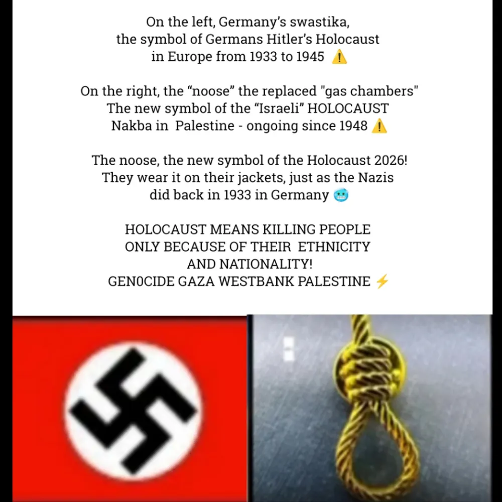 babsi.bsky.social's profile picture